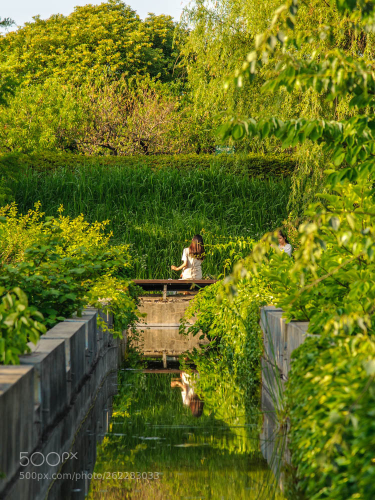 Nikon D700 sample photo. Friend photography