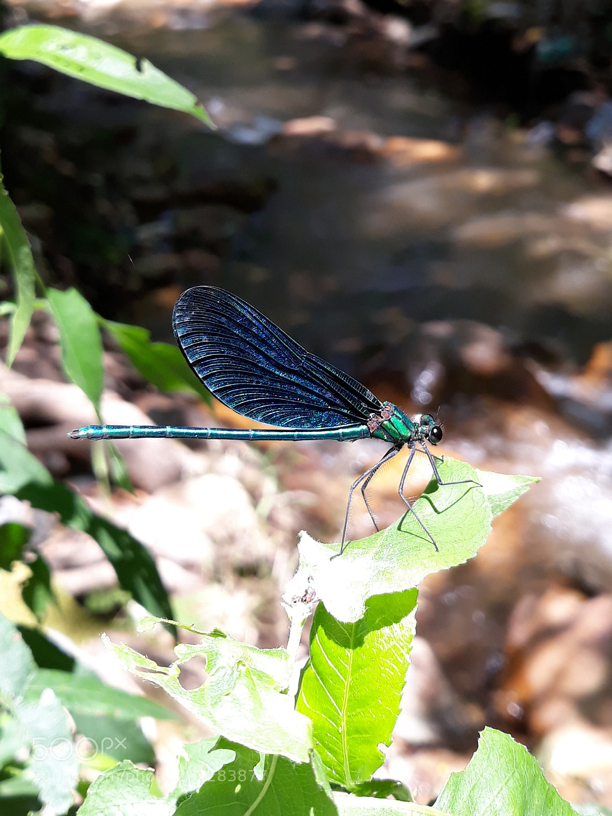 Samsung Galaxy J7 sample photo. Untitled photography