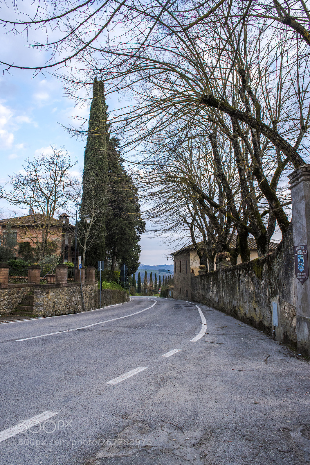 Nikon D810 sample photo. Low street shot photography