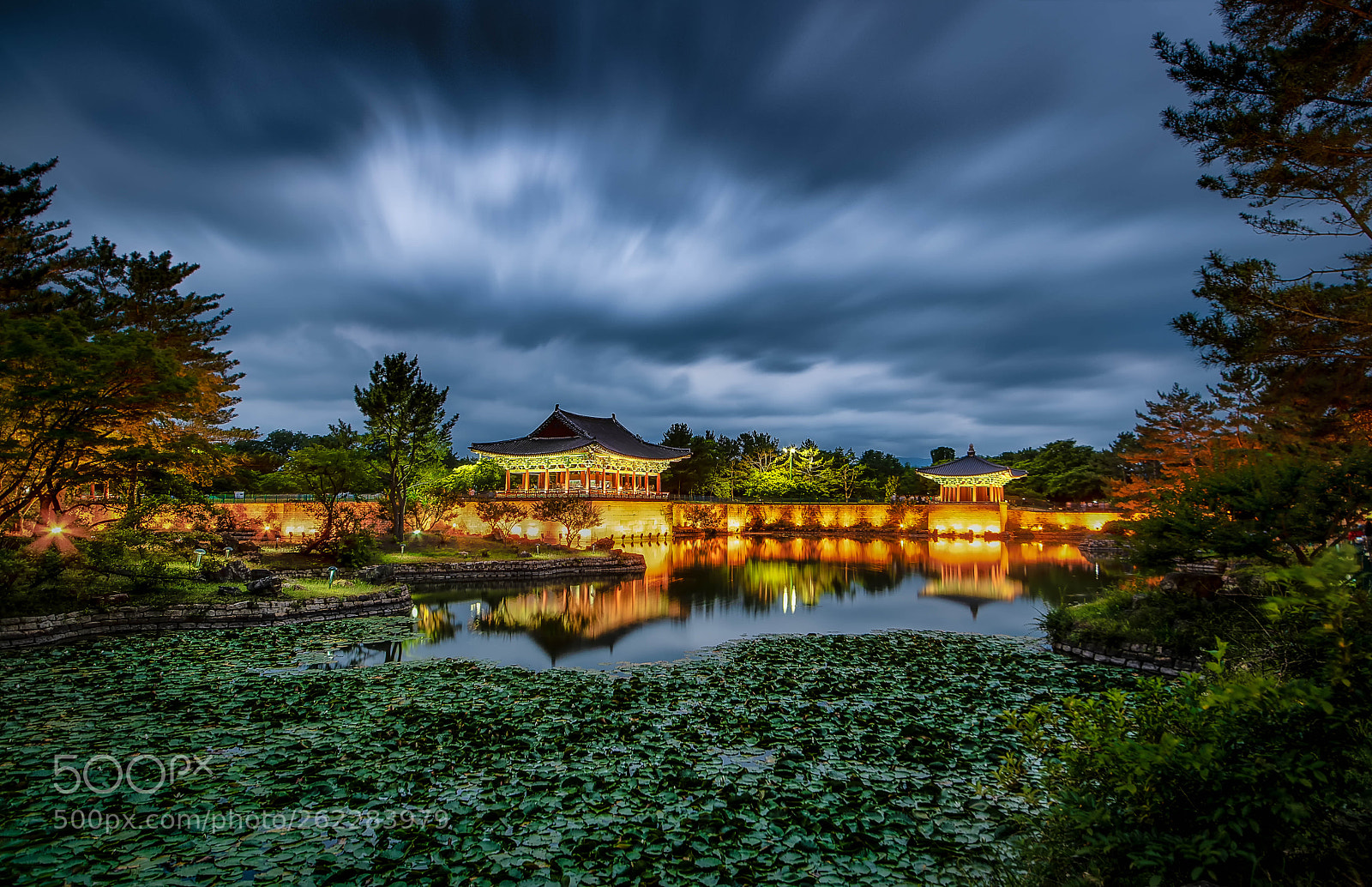 Nikon D750 sample photo. Nightscape of wolji pond photography