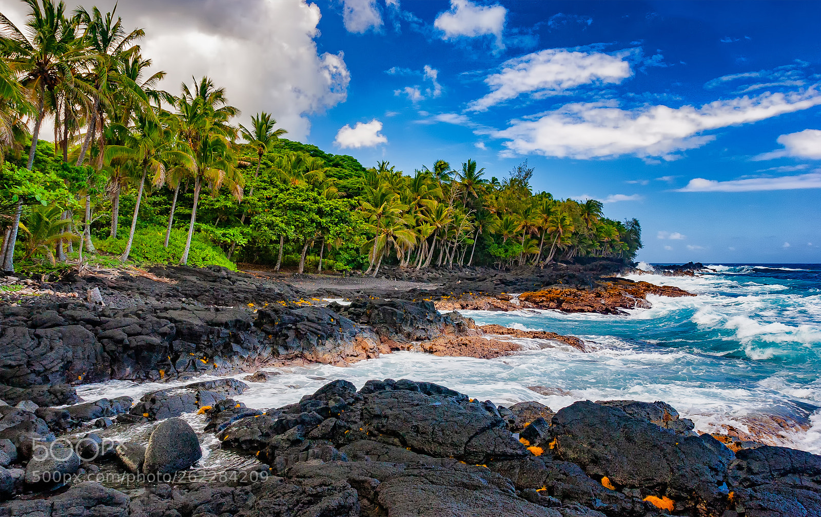 Canon EOS 20D sample photo. Paradise photography