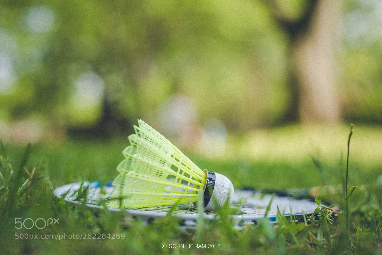Canon EOS 6D sample photo. Workout in the park photography