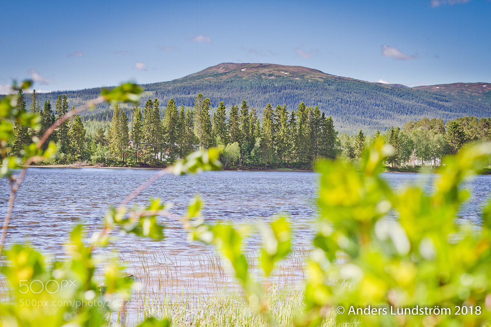Canon EOS 7D sample photo. Välliste photography