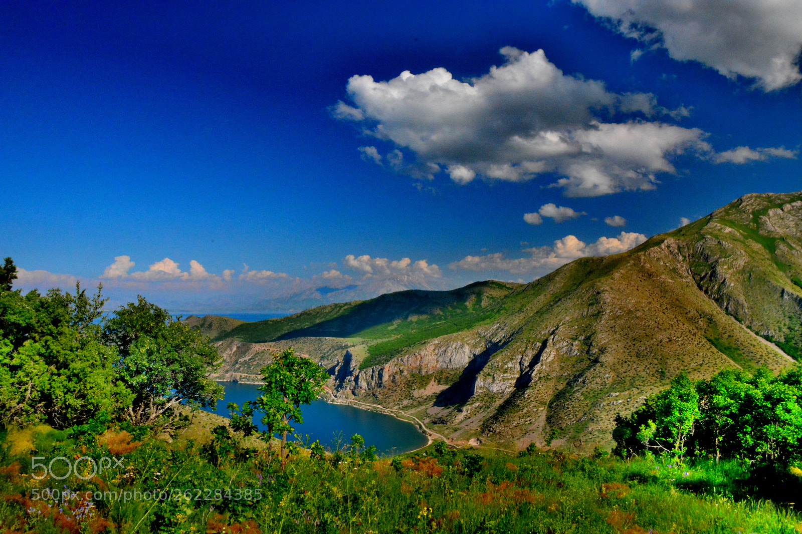 Sigma 17-70mm F2.8-4 DC Macro OS HSM | C sample photo. Gevaş.. photography