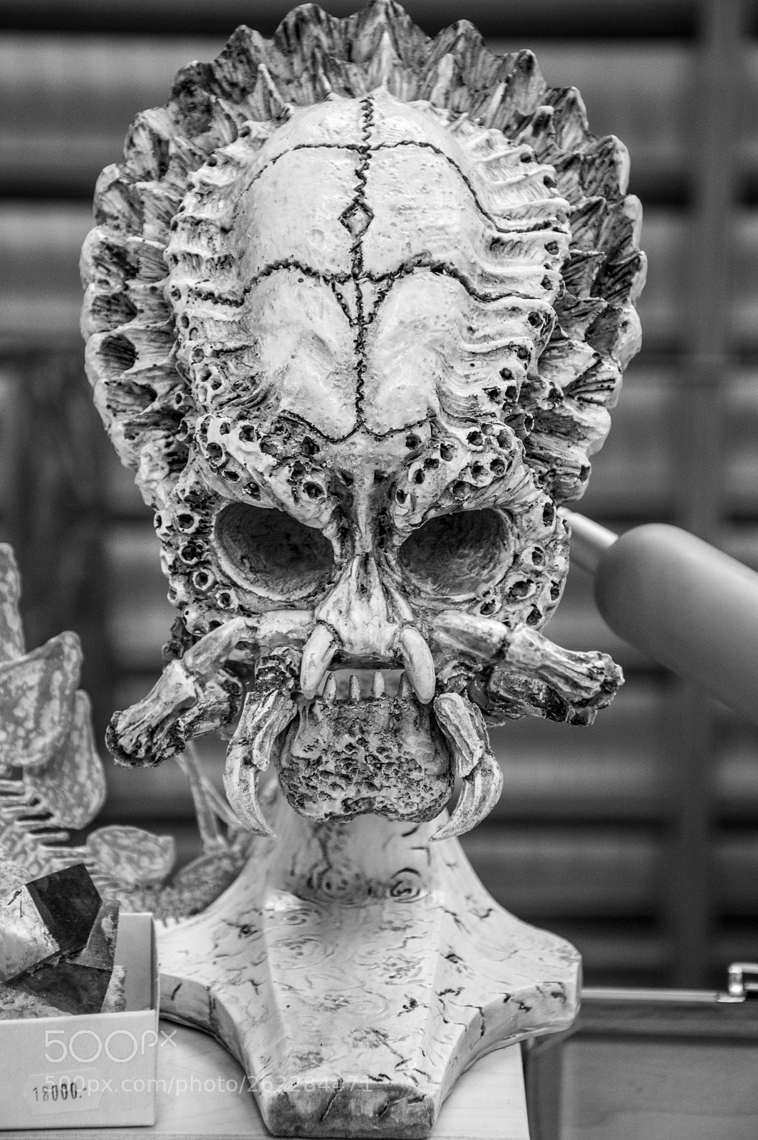 Nikon D3200 sample photo. Ásványbörze photography
