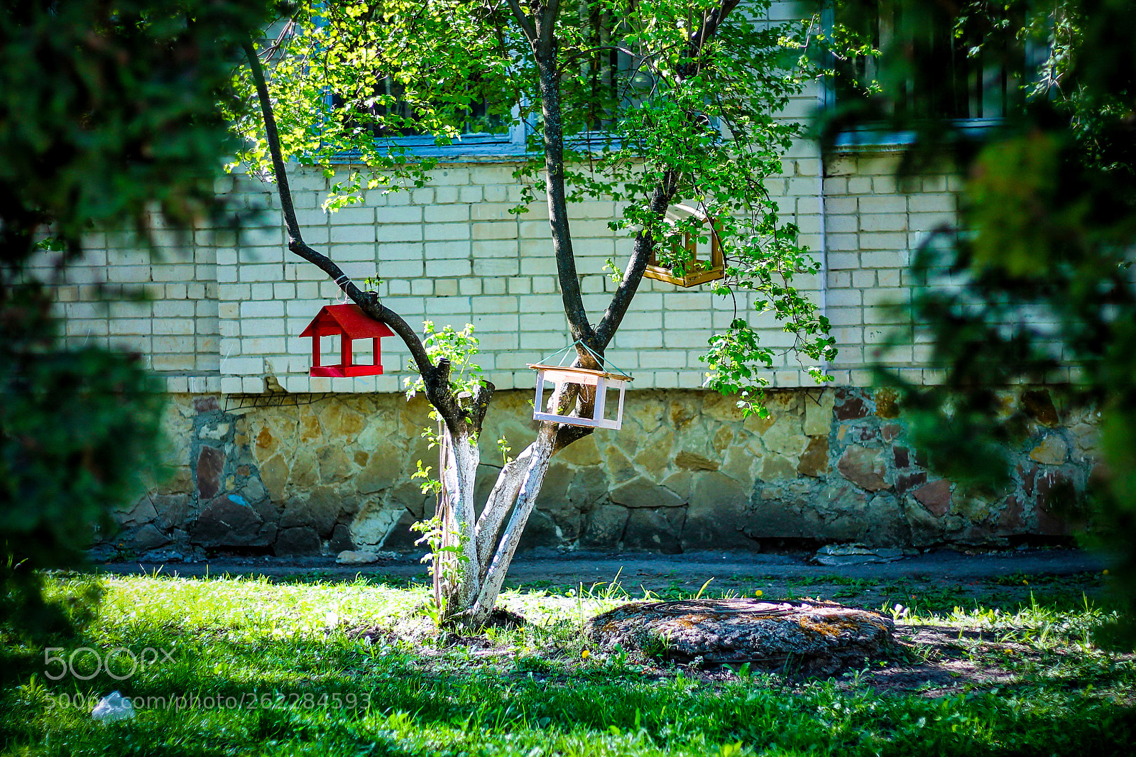 Canon EOS 1100D (EOS Rebel T3 / EOS Kiss X50) sample photo. Place for feeding birds photography