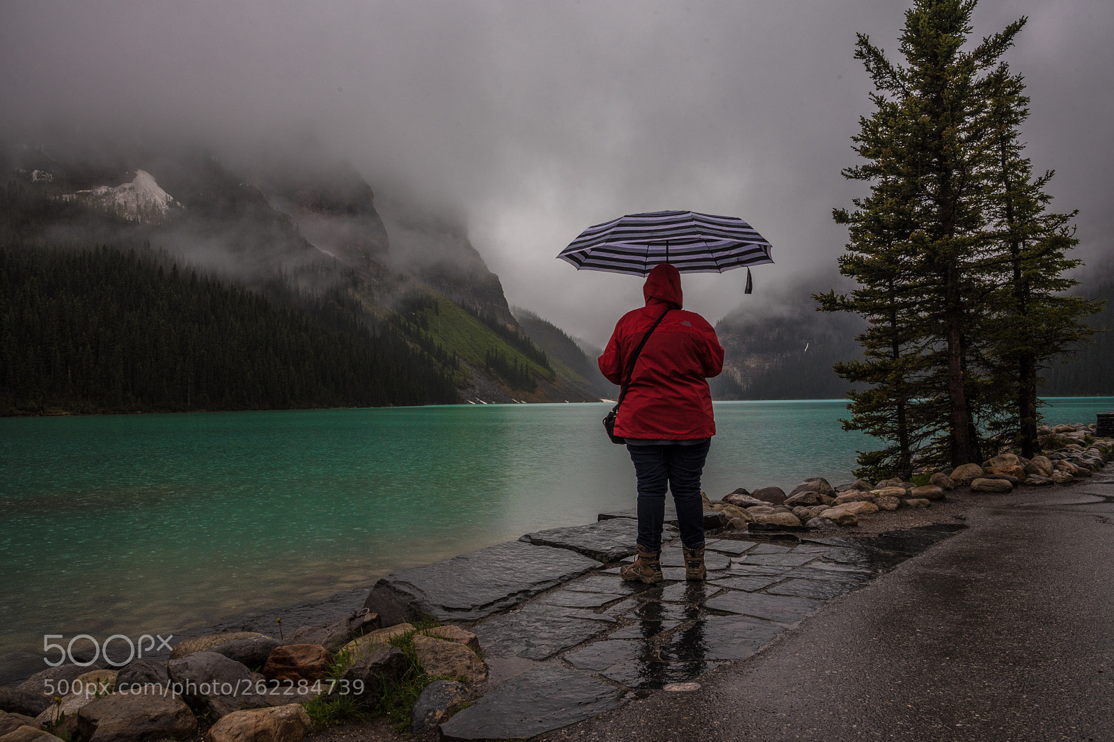 Nikon D750 sample photo. Rainy day photography