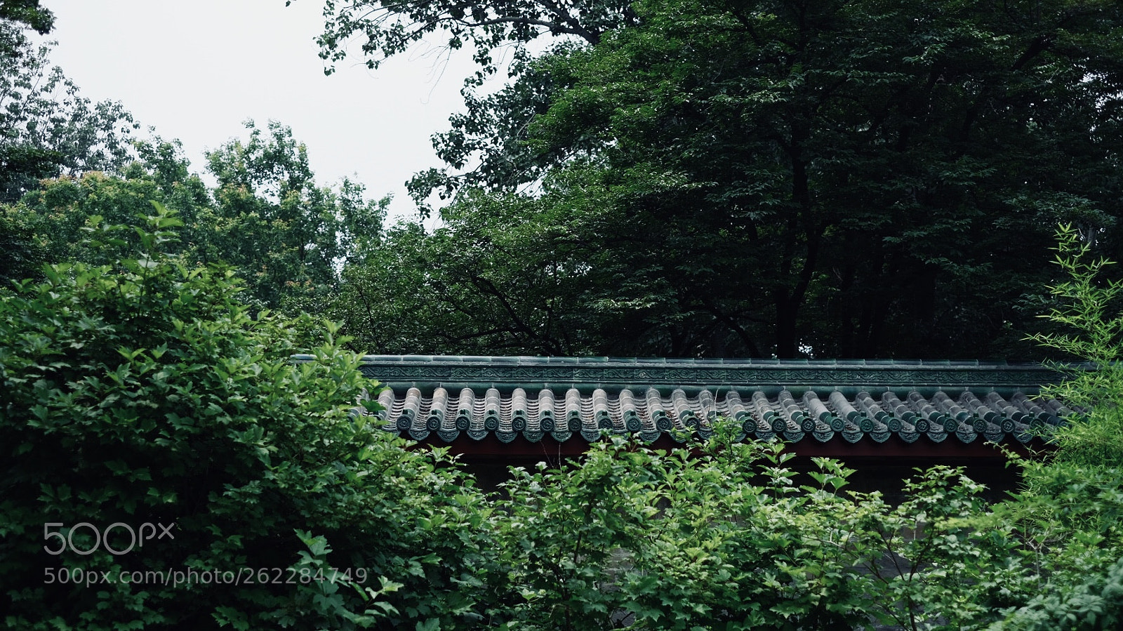Fujifilm X-T2 sample photo. 幽静的围墙 photography
