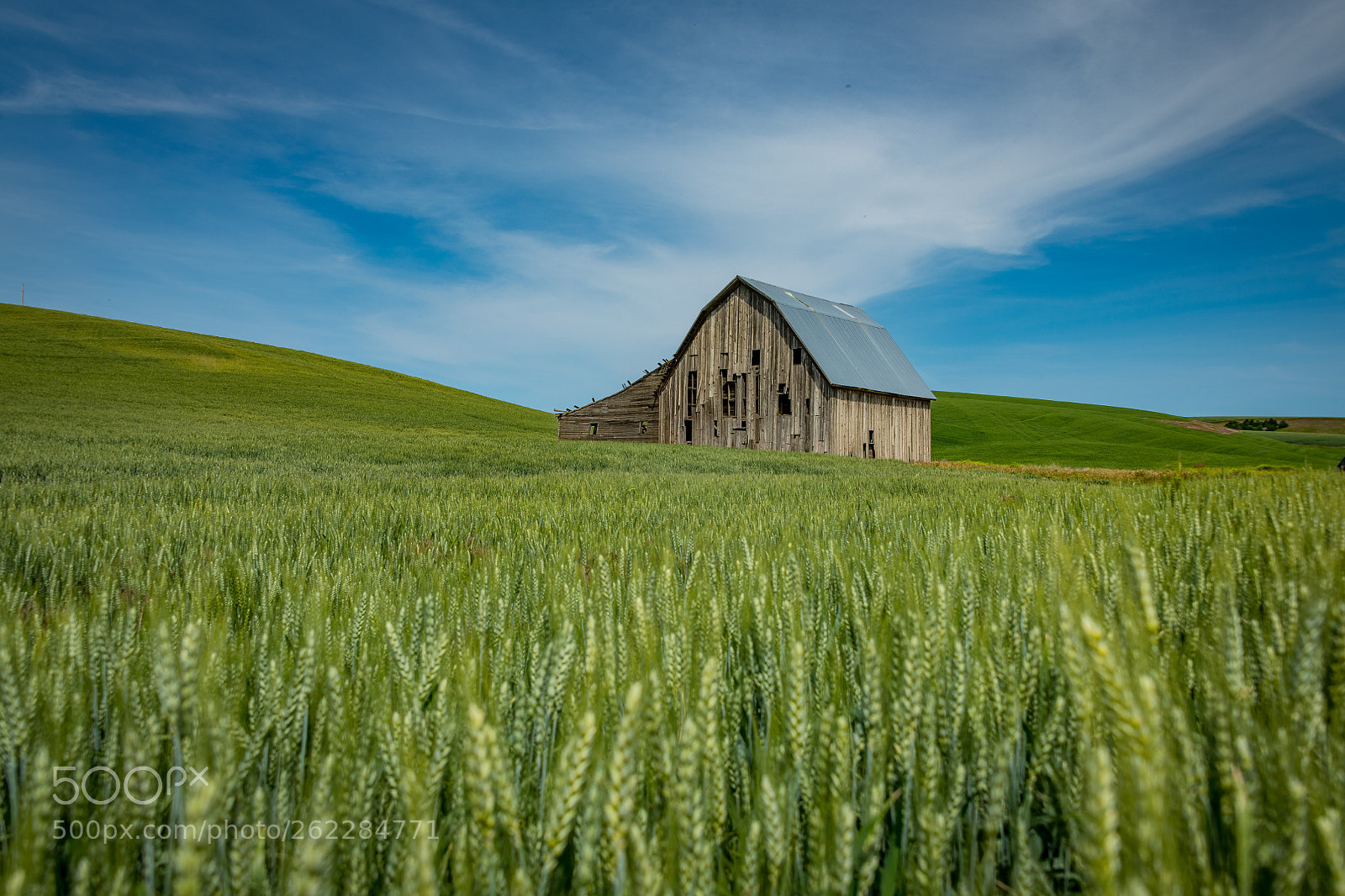Nikon D850 sample photo. The palouse_8505294 photography
