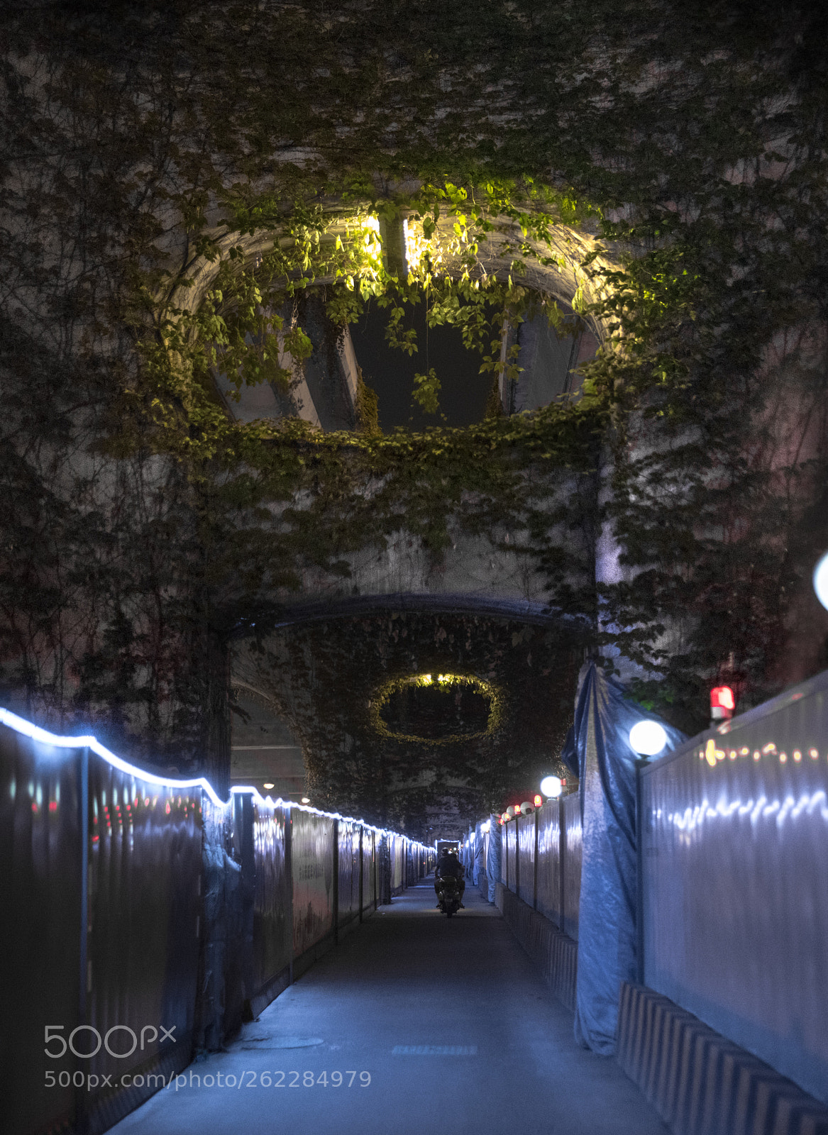 Nikon D750 sample photo. Chengdu nights photography