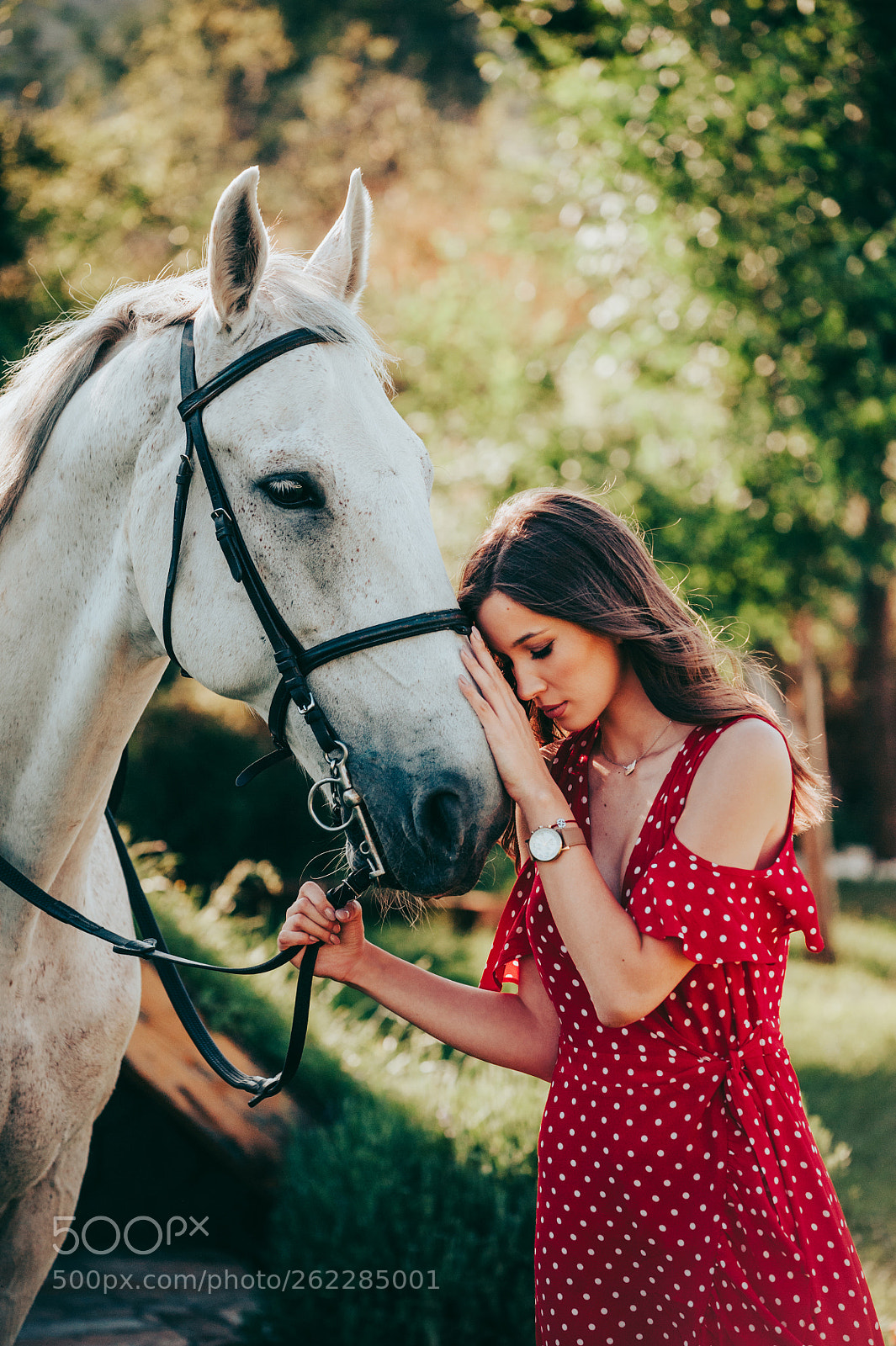 Nikon D700 sample photo. Women with white horse photography