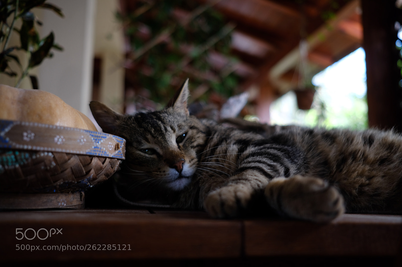 Fujifilm X-T20 sample photo. Comfort. photography