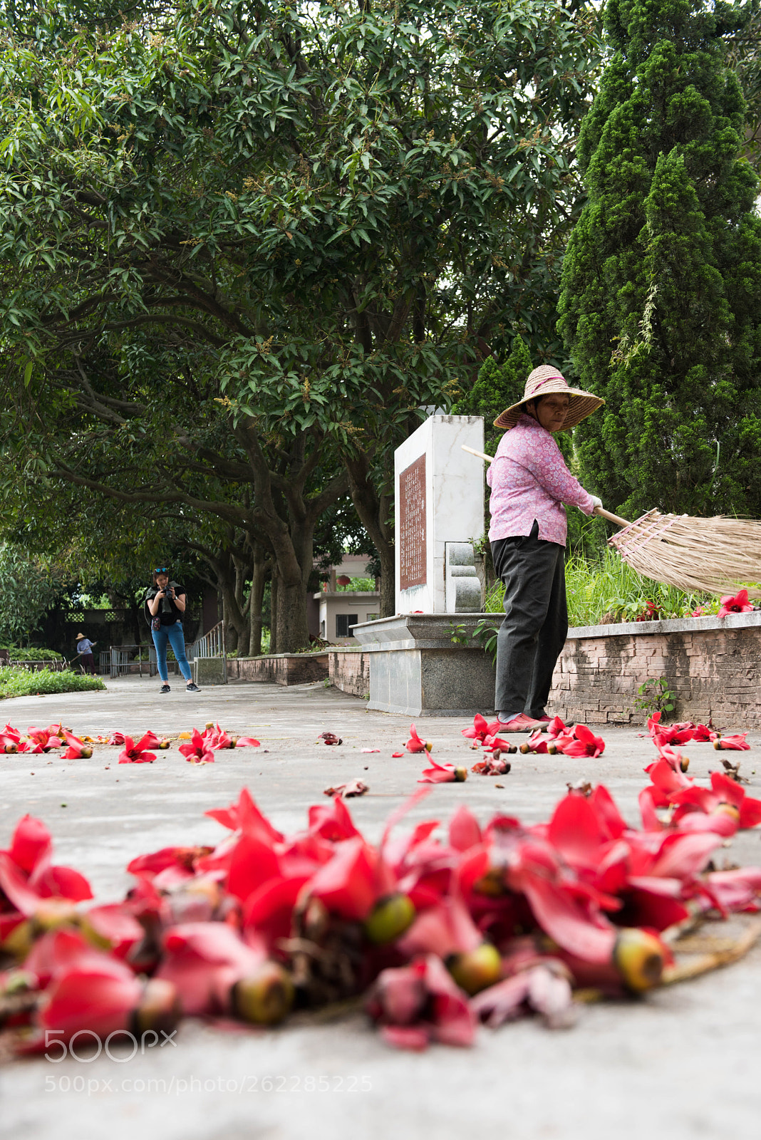 Nikon D810 sample photo. 103.jpg photography