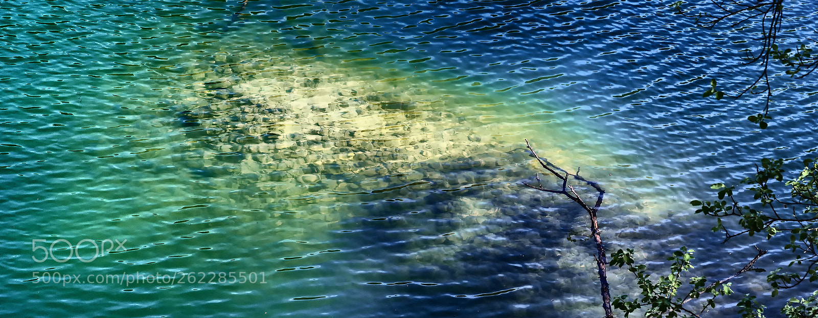Sony ILCA-77M2 sample photo. Limestone under water photography