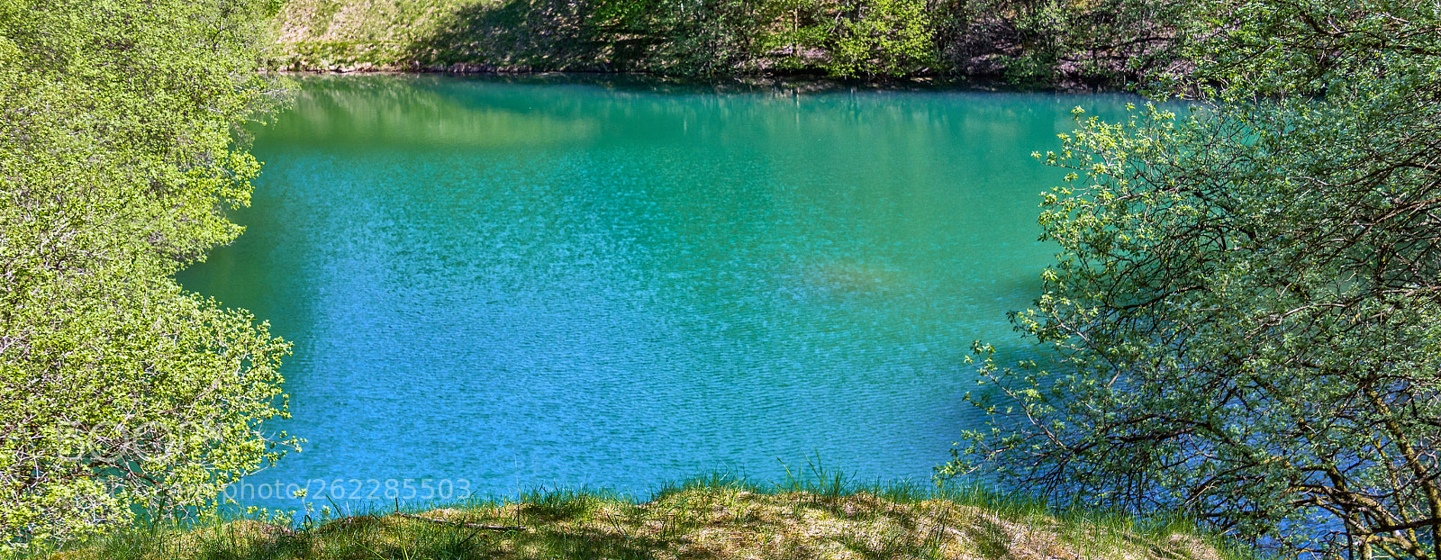 Sony ILCA-77M2 sample photo. Flooded lime pit photography
