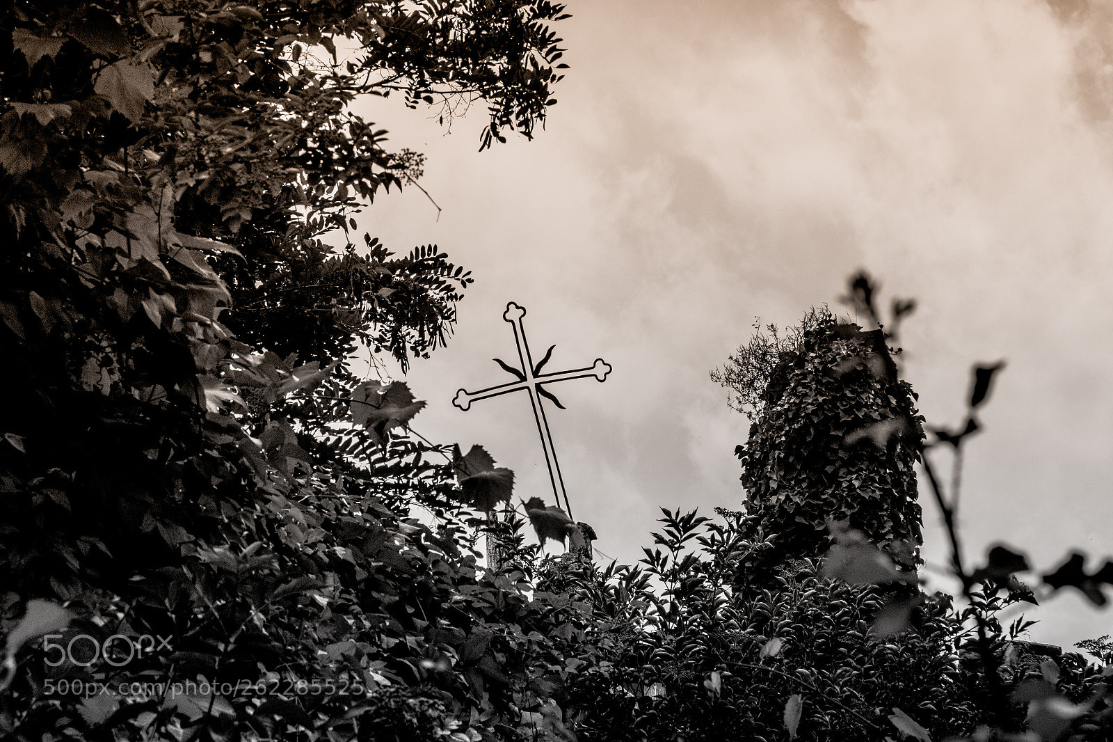 Canon EOS 70D sample photo. Urbex chiesa di petrignone photography
