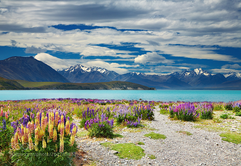 Canon EOS 5D sample photo. Lake tekapo, new zealand photography