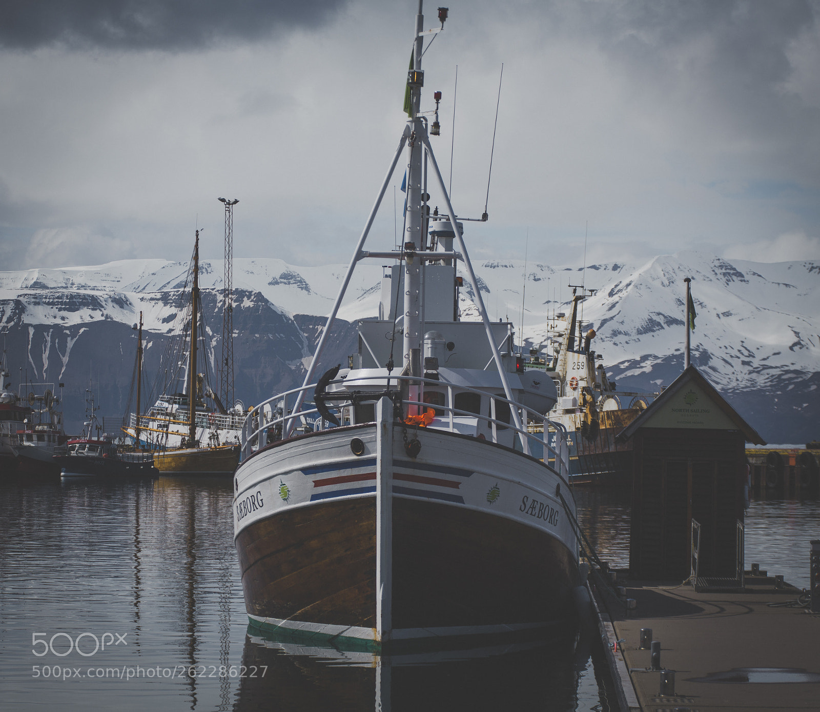 Canon EOS 6D sample photo. Whale watching on the photography