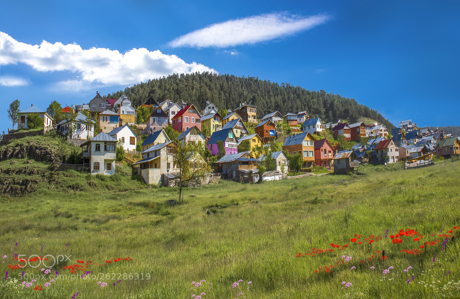 Nikon D810 sample photo. Eğriçimen photography