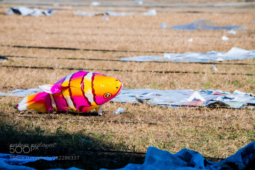 Sony a7R II sample photo. Burning fish photography