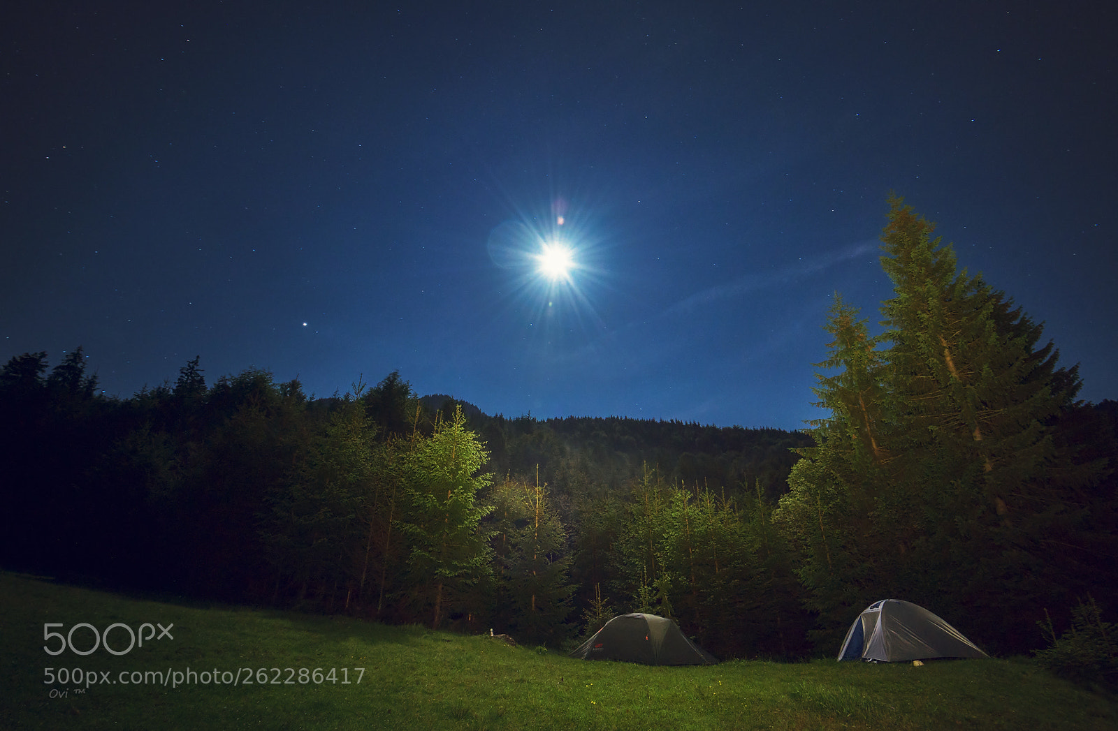 Nikon D750 sample photo. Into the night photography