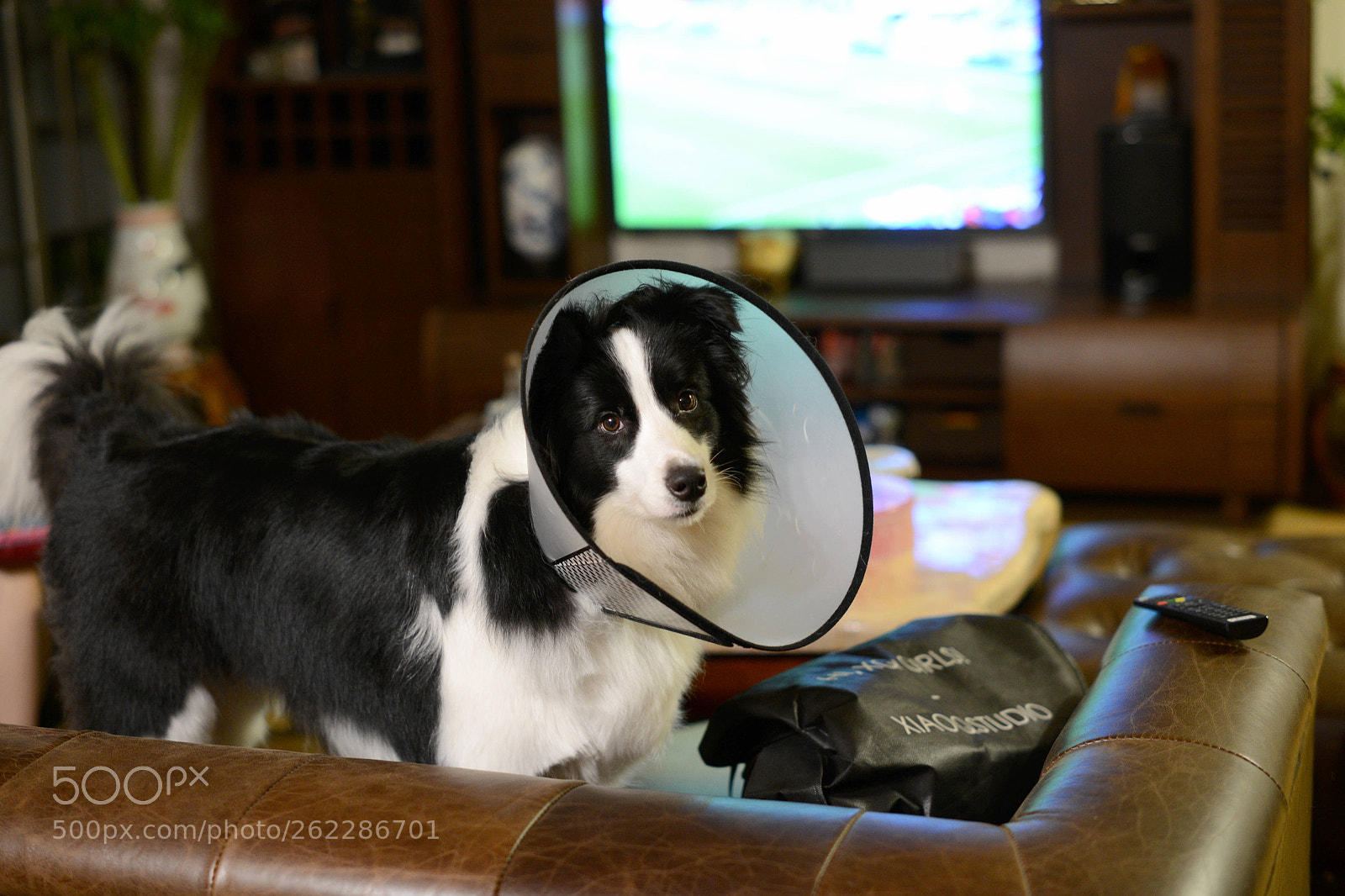 Nikon D800E sample photo. Me or world cup? photography