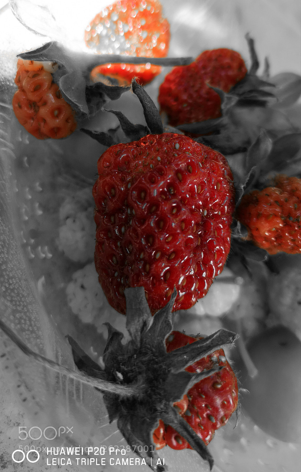 HUAWEI CLT-L09 sample photo. Untitled photography