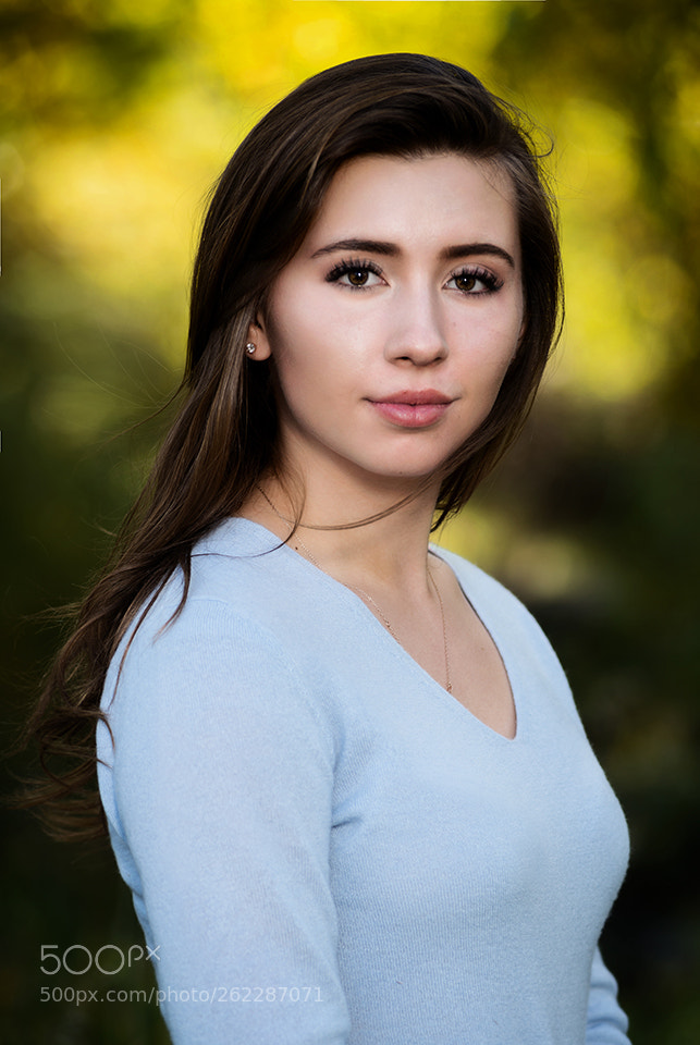 Nikon D800 sample photo. Shiny photography