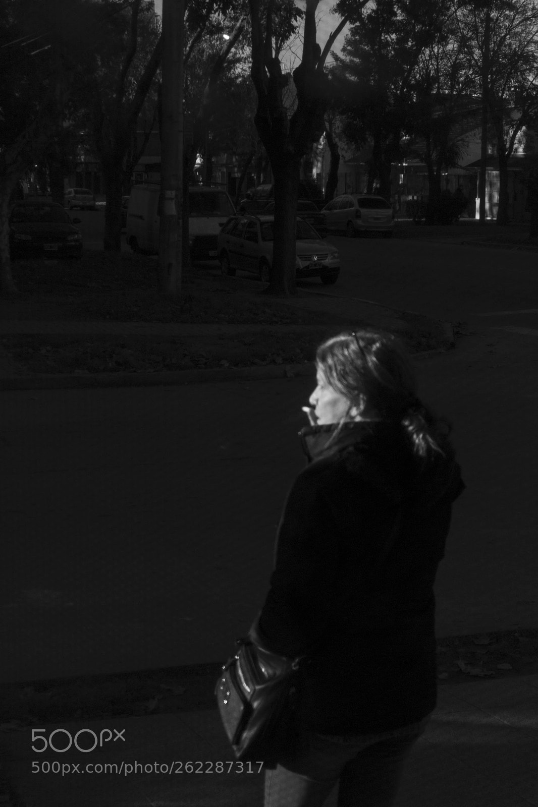 Nikon D3100 sample photo. She's back photography