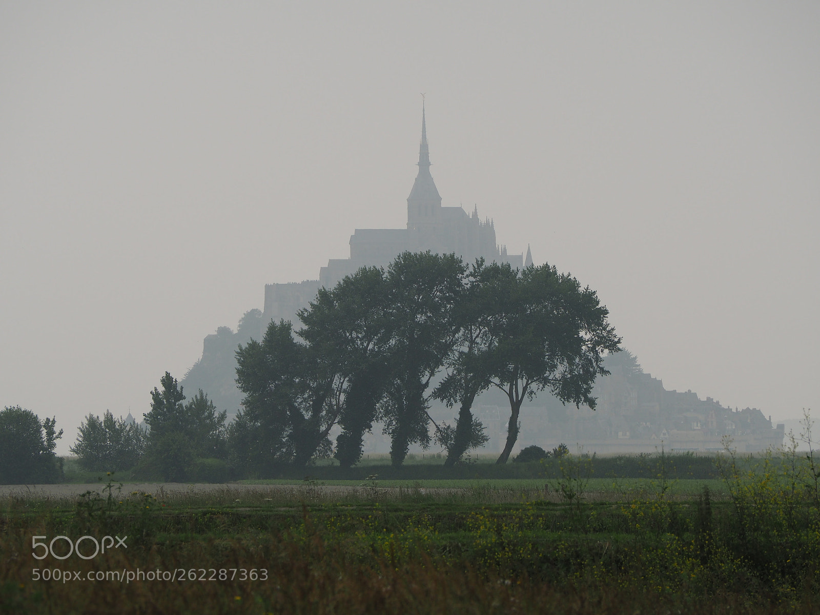 Olympus OM-D E-M10 sample photo. Le mont-saint-michel im nebel photography