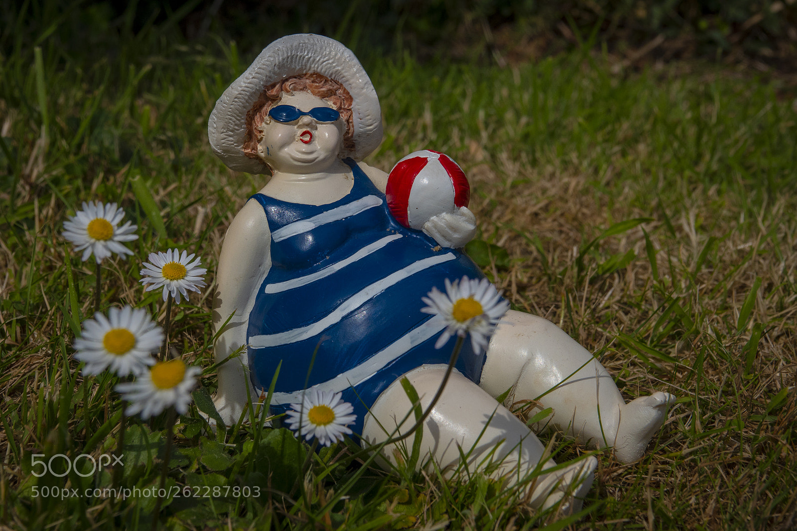 Sony Cyber-shot DSC-RX10 IV sample photo. Sitting pretty photography