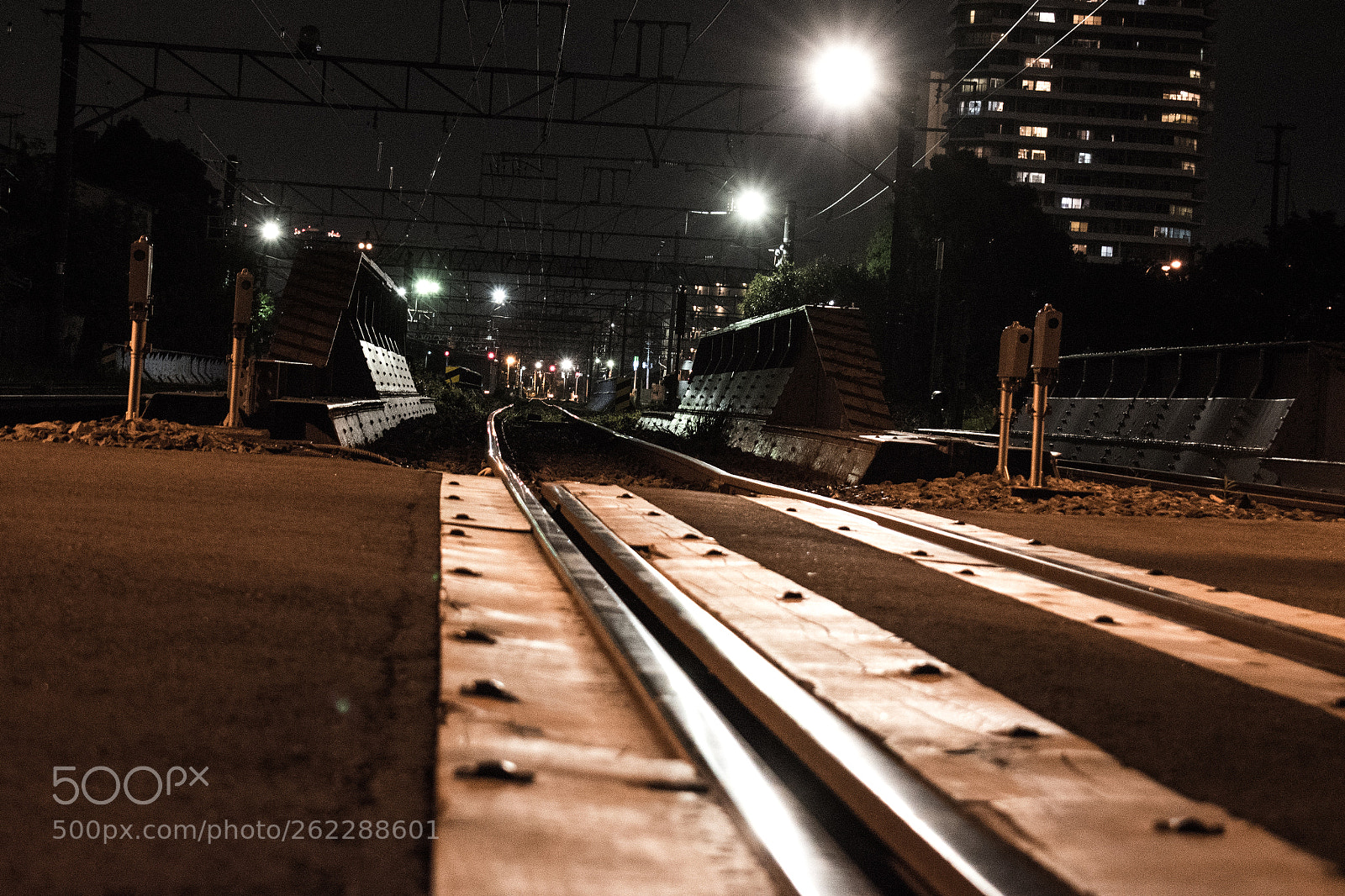 Nikon D5600 sample photo. Quiet night photography