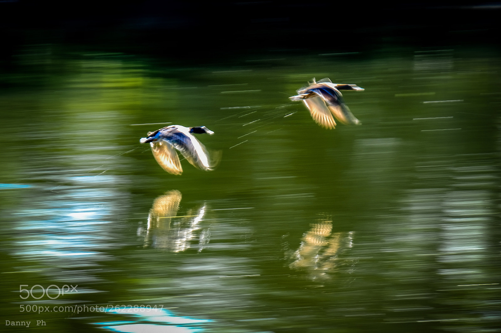 Fujifilm X-T2 sample photo. Speed  photography