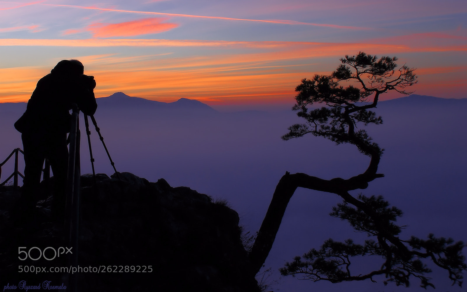 Sony Alpha DSLR-A300 sample photo. Photographer - waiting for photography