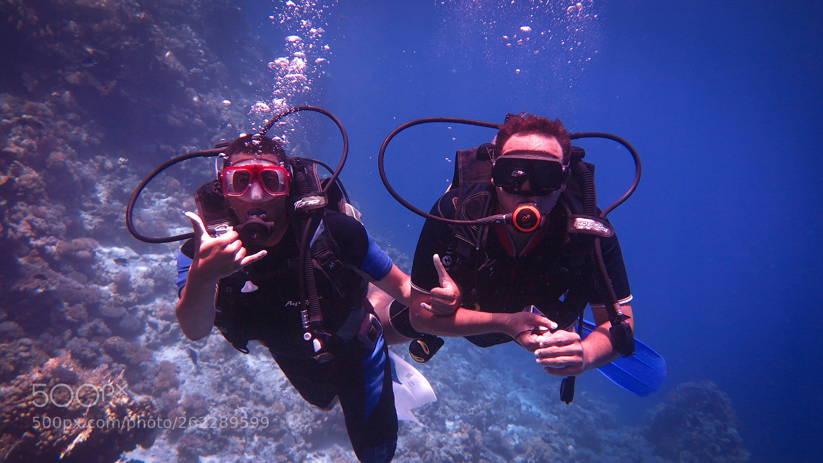 Canon PowerShot G1 X Mark II sample photo. Diving  photography