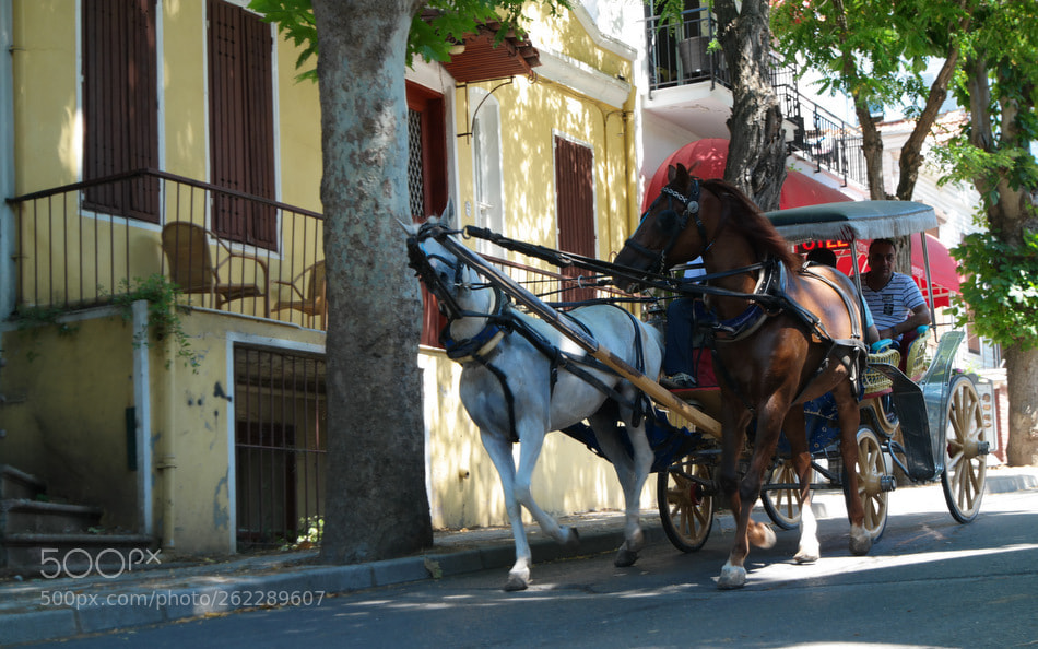 Samsung NX30 sample photo. ... photography