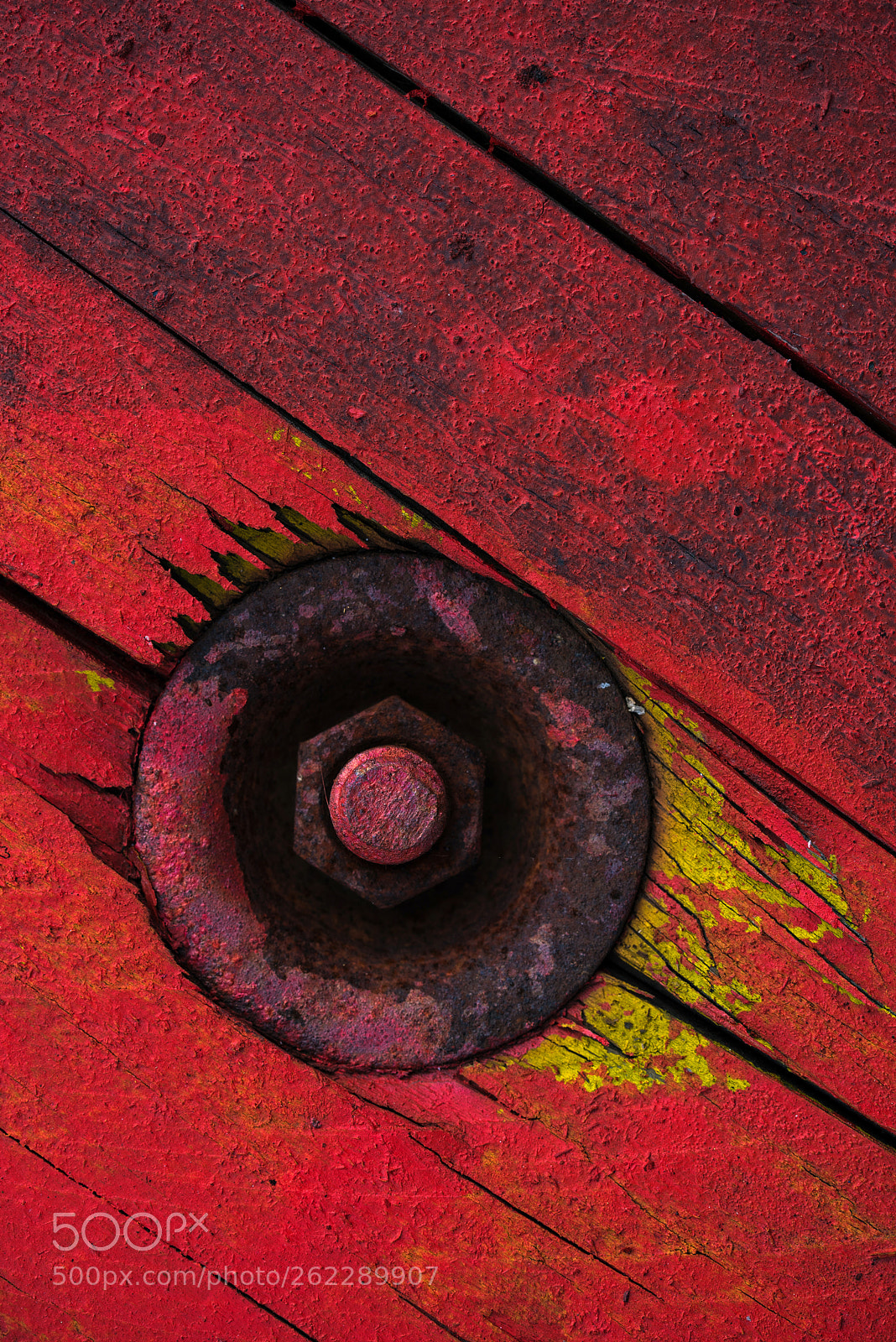 Nikon D750 sample photo. The red dot... photography