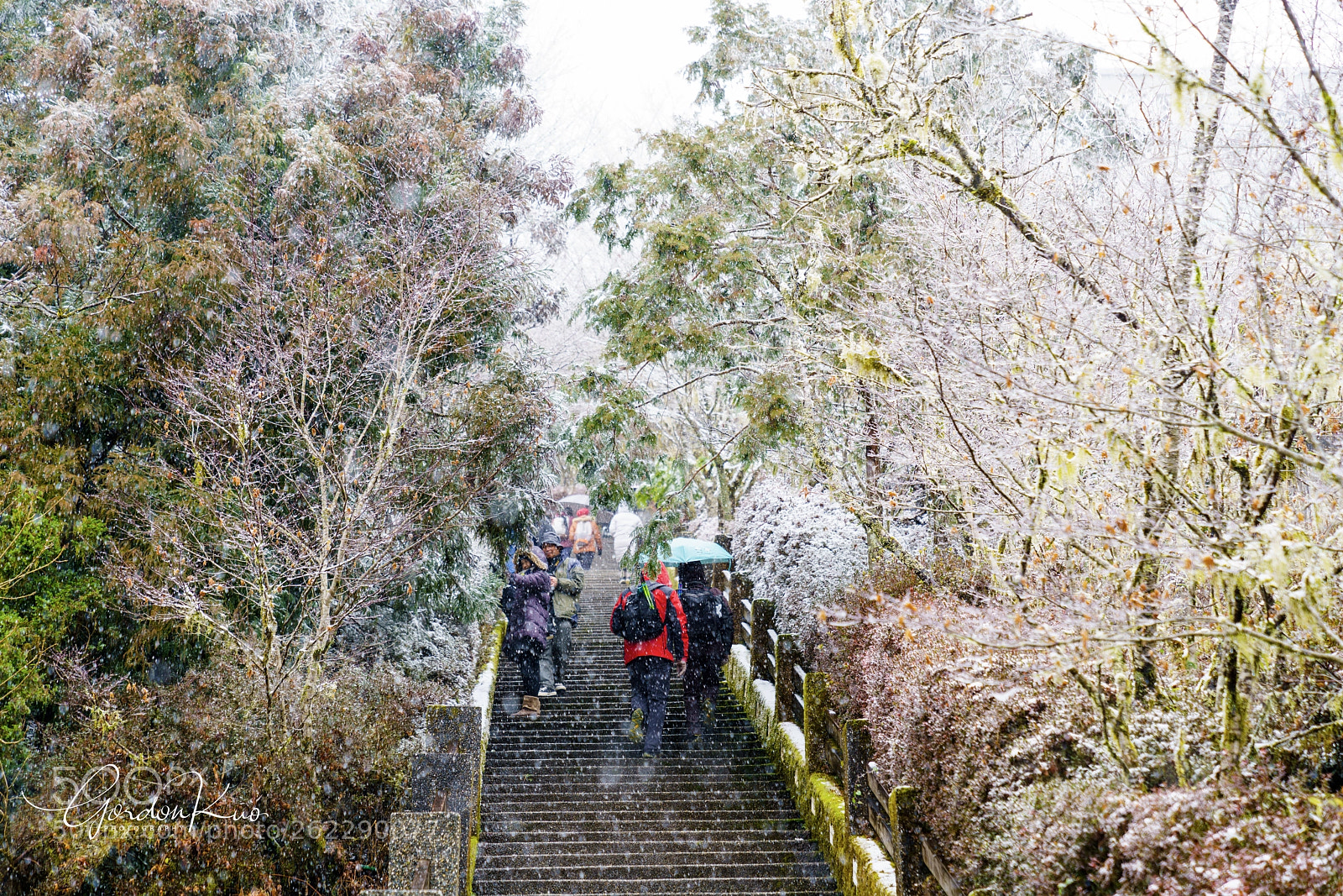 Sony a7R II sample photo. Snowy taipin mt. photography