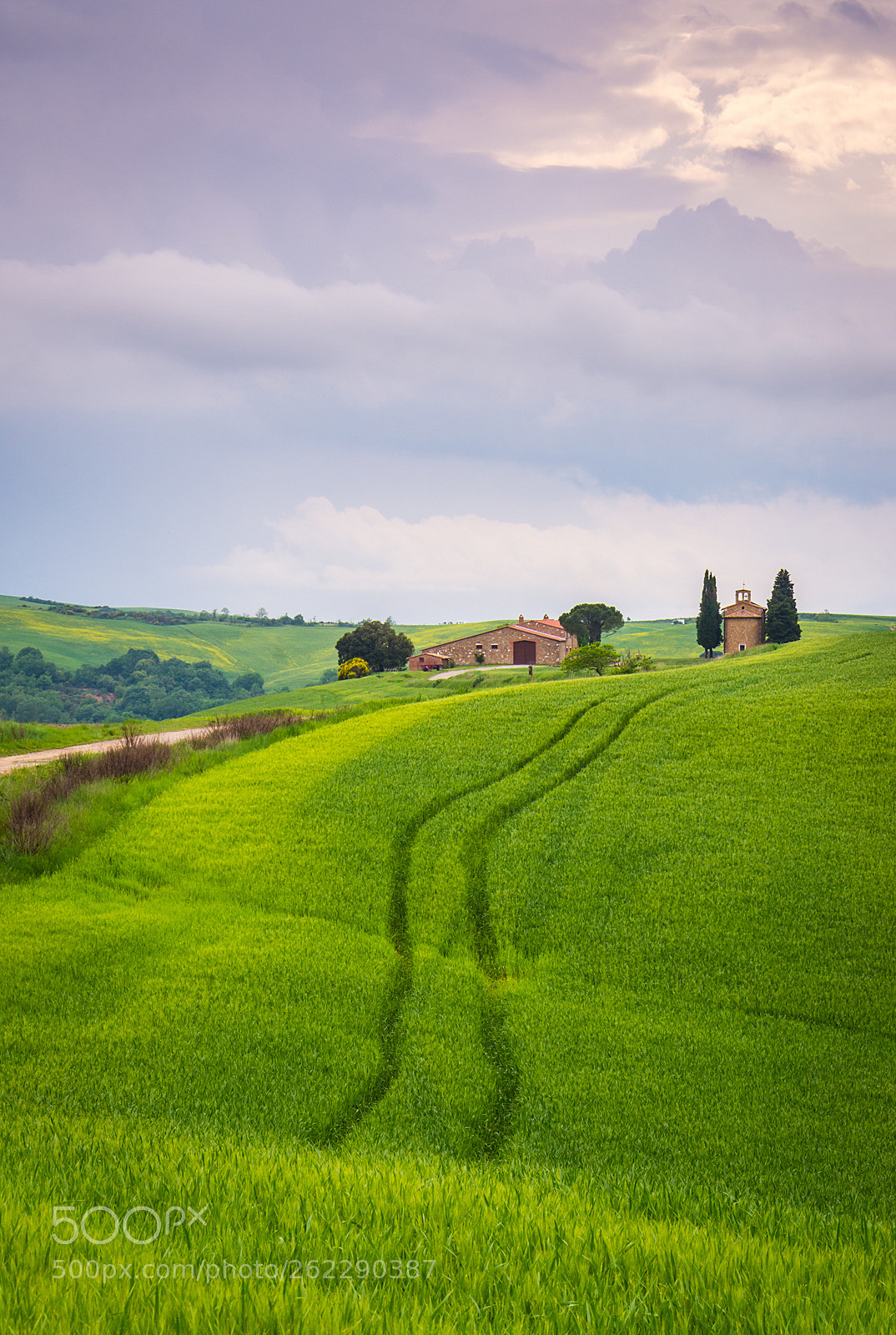 Nikon D7100 sample photo. Tuscany lines photography