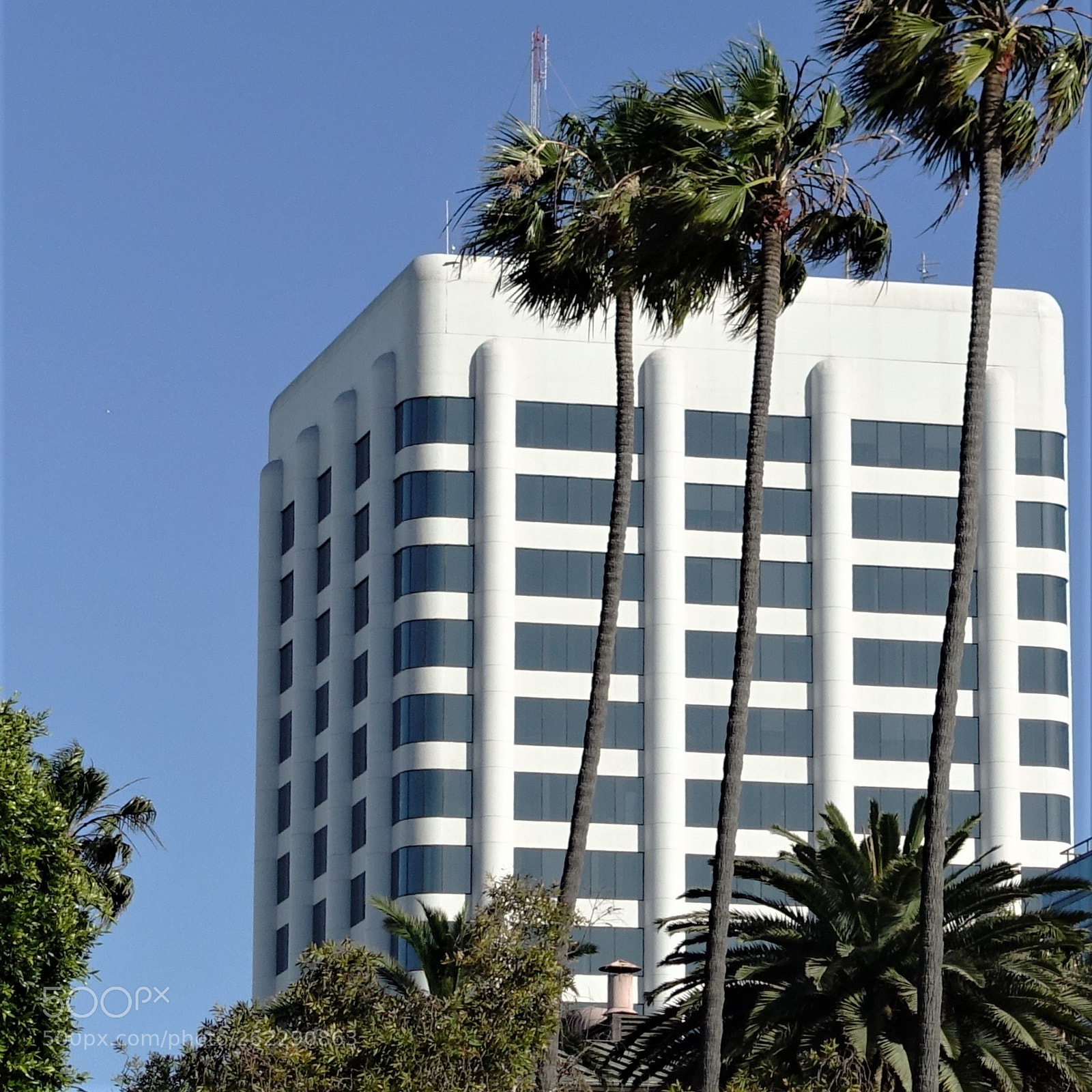 Sony Cyber-shot DSC-RX100 III sample photo. High rise with palms photography