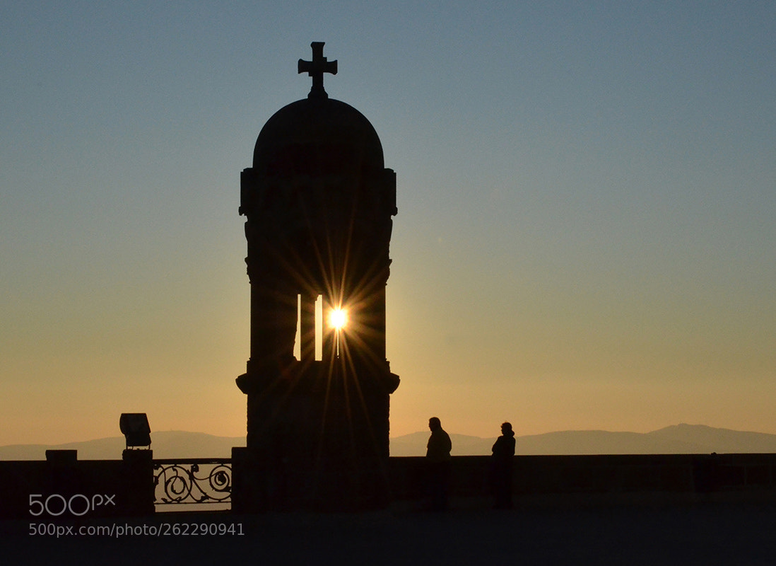 Nikon D5100 sample photo. The sun trough the photography