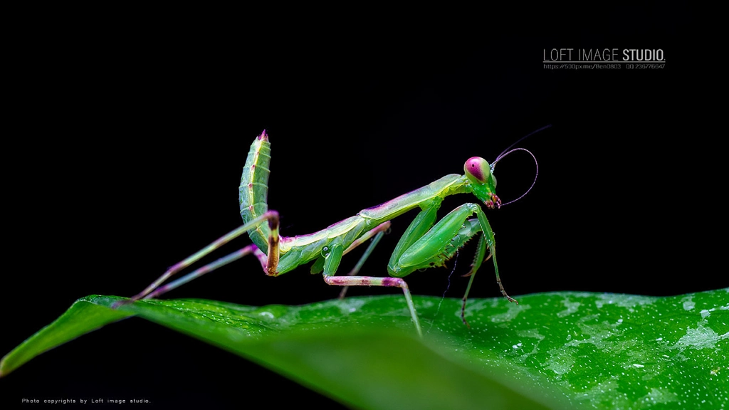 _MG_2806 拷贝 by Ben Lee Photography on 500px.com