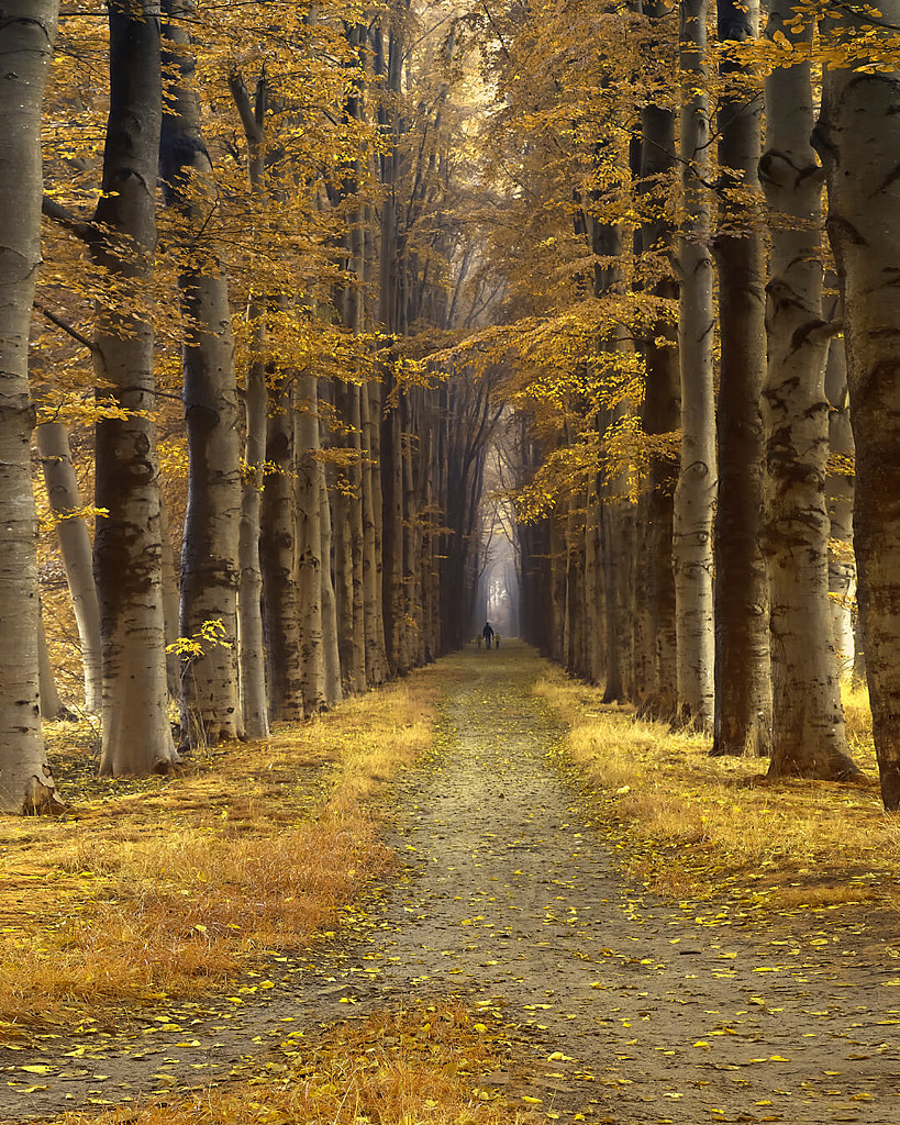 three two one, автор — Lars van de Goor на 500px.com