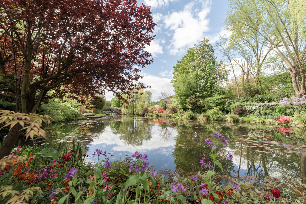 Le jardin de Monet, автор — Frédéric Protat на 500px.com