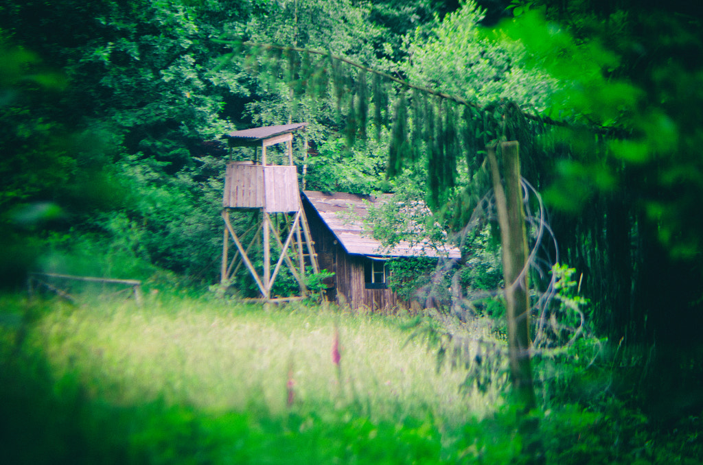 haus im wald II von dirk derbaum auf 500px.com