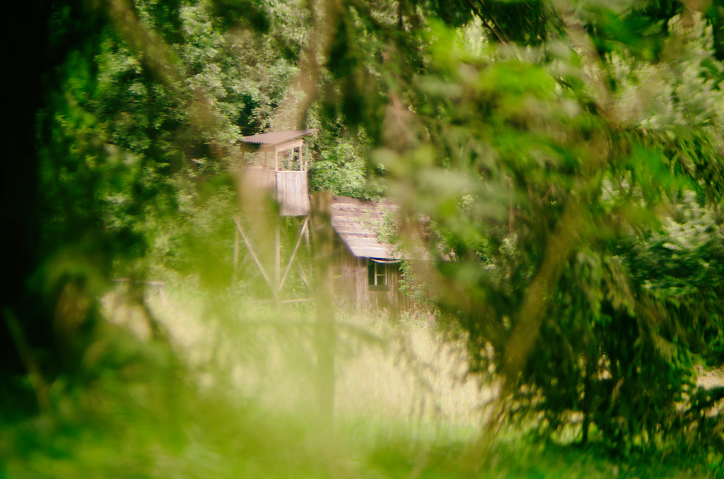 haus im wald von dirk derbaum auf 500px.com