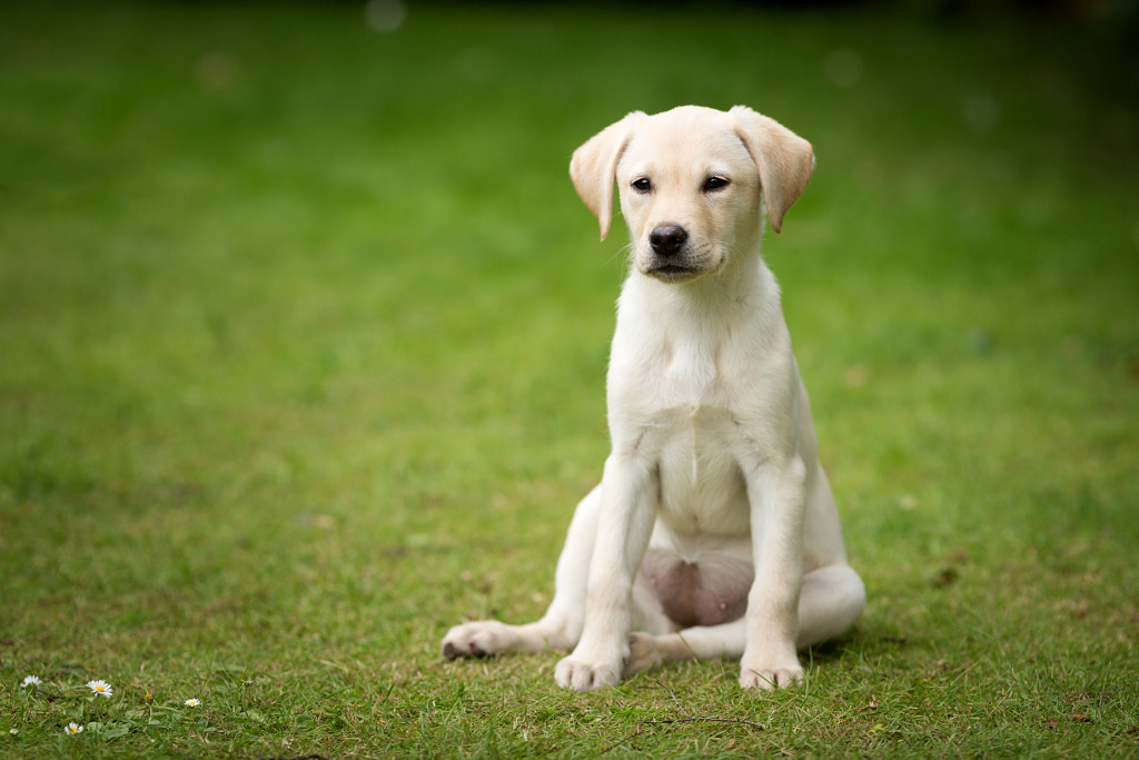 IMAGE: https://drscdn.500px.org/photo/262565245/m%3D900/v2?user_id=531773&webp=true&sig=6b1894e0238f413e0b533aebee372982fc4b3cde1c66aa2e5ffbb1c85af126f8