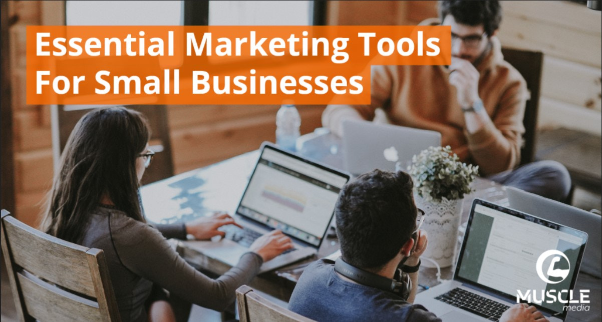 Digital Marketing Brisbane  | Muscle Media | 1300 811 469