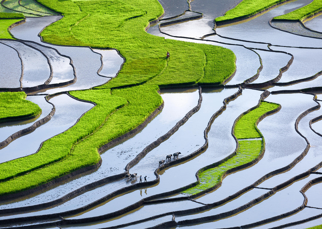 Tu Le Terraces by Duc Bui Viet on 500px.com