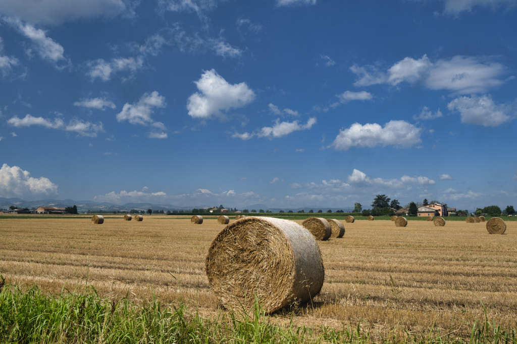 Rural Landscape near Parma (Italy) by Claudio G. Colombo on 500px.com